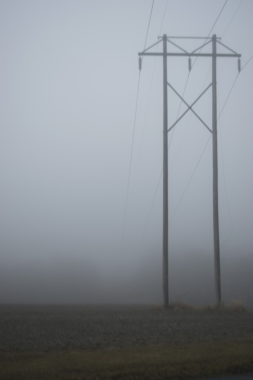 Fog Photograph